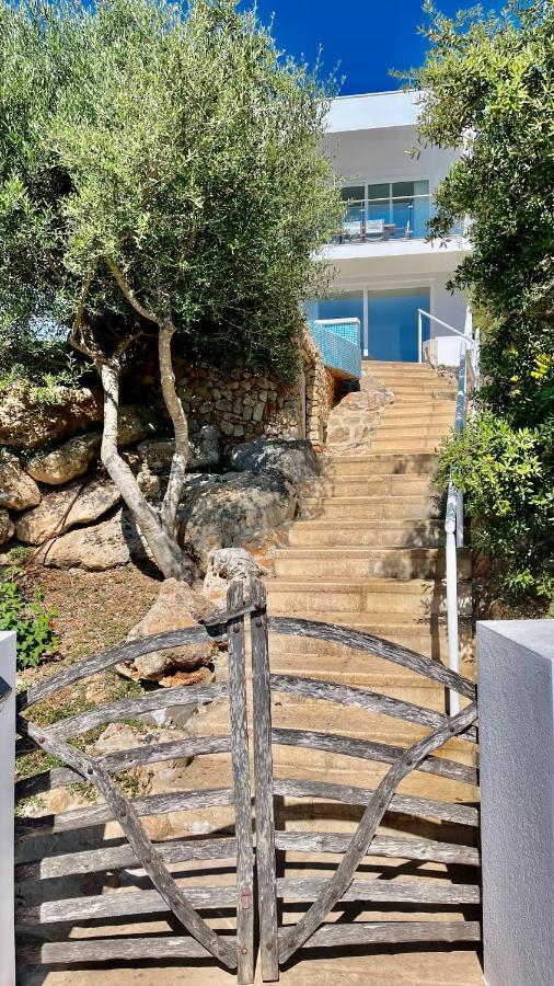 Villas Tin Coves Noves Punta Grossa Extérieur photo